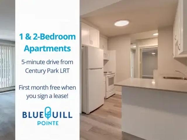 1 Bedroom Apartment Edmonton AB 103957918