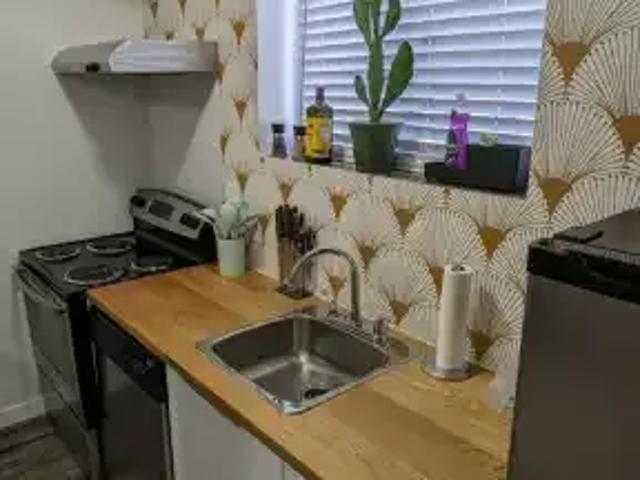 1 Bedroom Apartment Edmonton AB 104362184