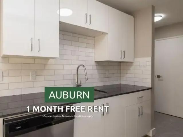 1 Bedroom Apartment Edmonton AB 104470425