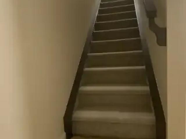 1 Bedroom Apartment Edmonton AB 105167327
