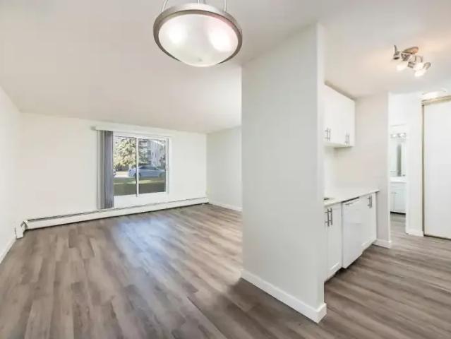1 Bedroom Apartment Edmonton AB 105185642
