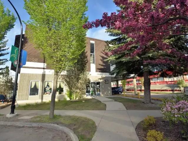1 Bedroom Apartment Edmonton AB 105269272