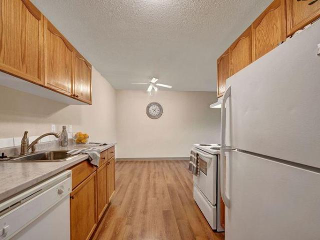 1 Bedroom Apartment Edmonton AB 96493685