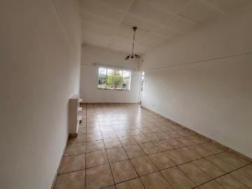 Florida, Roodepoort, Mogale City Local Municipality, West Rand District Municipality, Gauteng, South Africa
