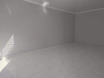 1 Bedroom Apartment / Flat To Rent in Vredenburg