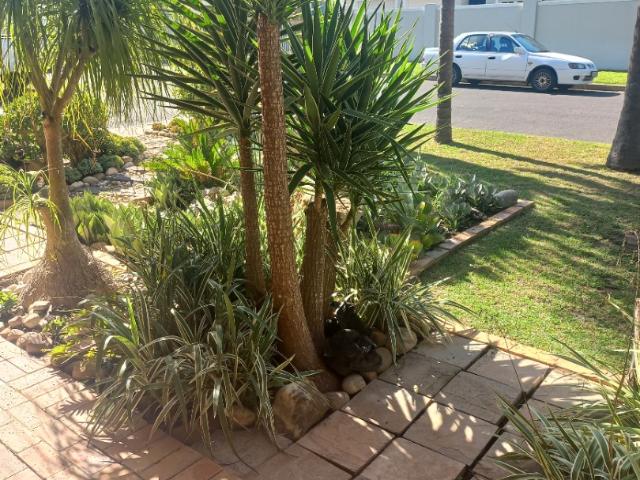 1 Bedroom Apartment / Flat To Rent in Amanda Glen