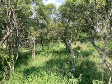1 Bedroom Apartment / Flat To Rent in Moditlo Nature Reserve