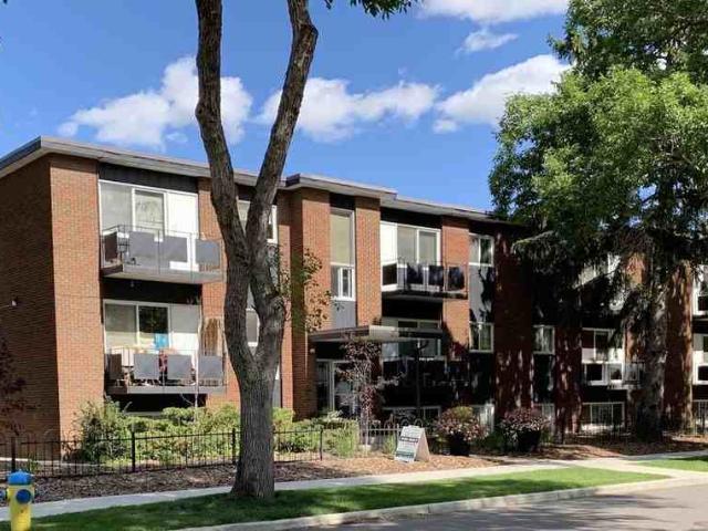 1 Bedroom Apartment for Rent at 10556 84 Ave Nw, Edmonton, AB T6E 2H4 Strathcona