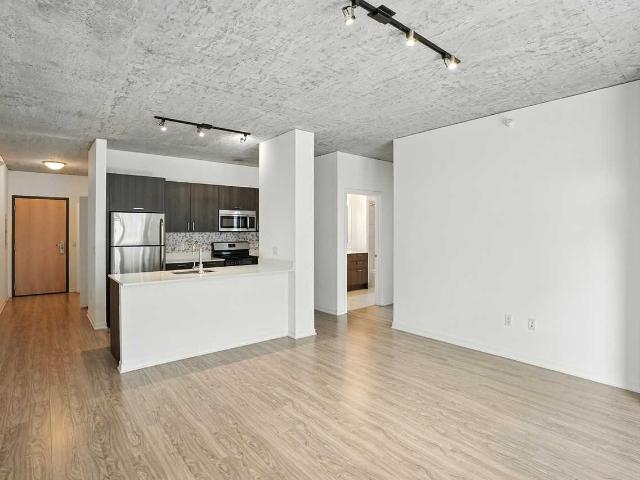 1 Bedroom Apartment for Rent at 1333 S Wabash Ave #1 1, Chicago, IL 60605 South Loop