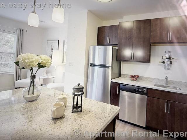 1 Bedroom Apartment for Rent at 30 Mill St, Arlington, MA 02476 Arlington Center