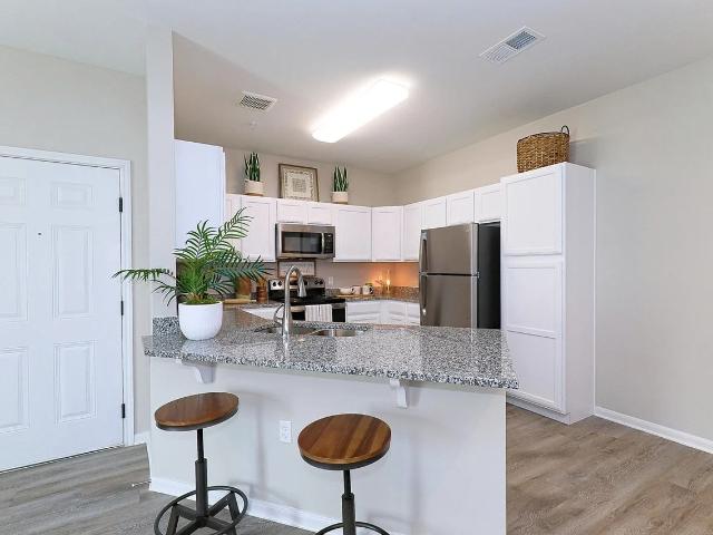 1 Bedroom Apartment for Rent at 6099 W Rayford Rd #LAL1, Spring, TX 77389