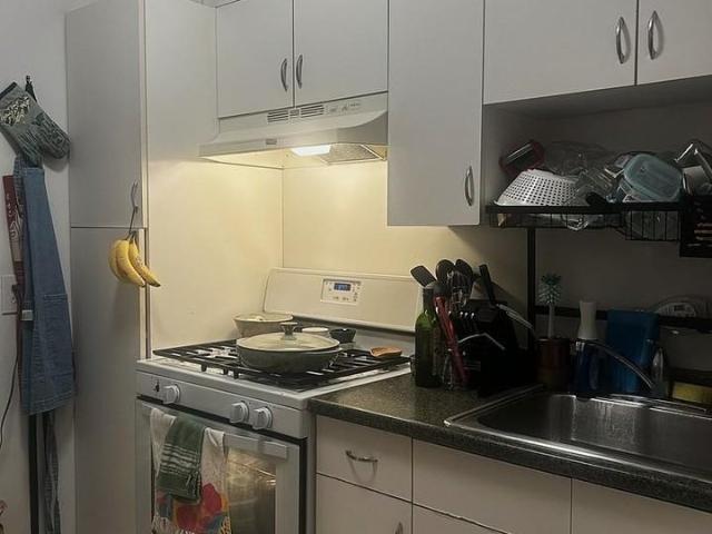 1 Bedroom Apartment for Rent at 709 W Cornelia Ave, Chicago, IL 60657 Lakeview
