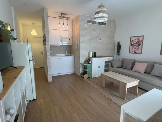 1 bedroom apartment for rent in Museo, couples allowed