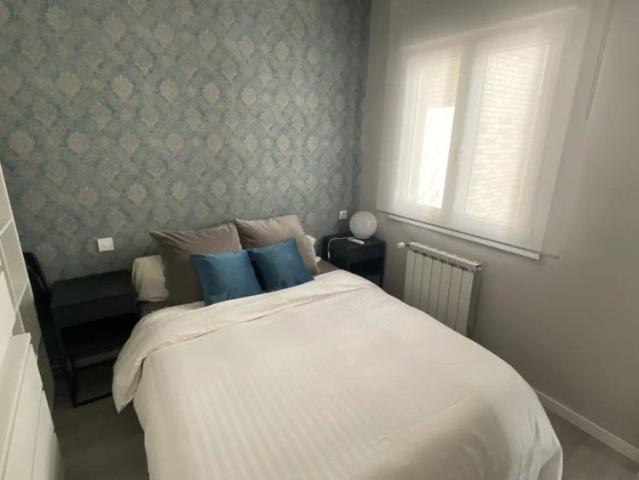 1 bedroom apartment for rent in Madrid