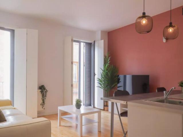 1 bedroom apartment for rent in Madrid center