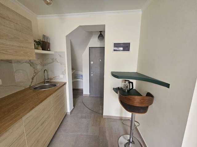 1 bedroom apartment for rent in Matongé, Brussels