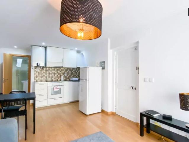 1 bedroom apartment for rent in Misericórdia