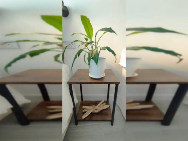 1 bedroom apartment for rent in Morondo, any gender, students and professionals welcome
