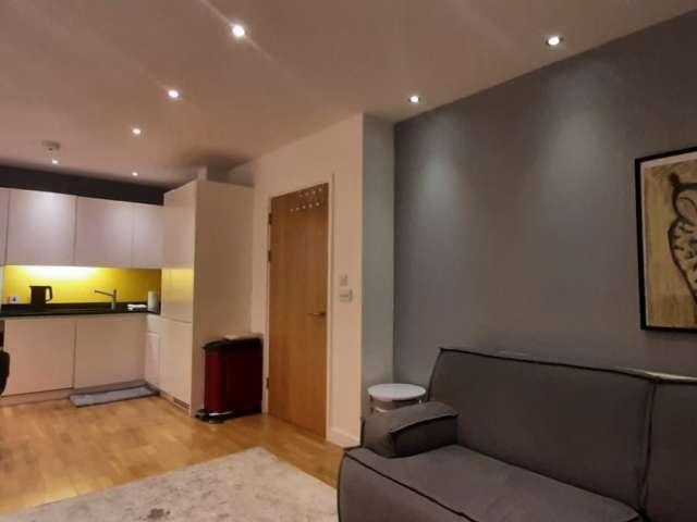 1 bedroom apartment for rent in Newington, London