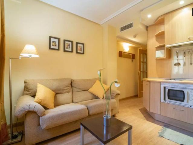 1 bedroom apartment for rent in Alcalá de Henares