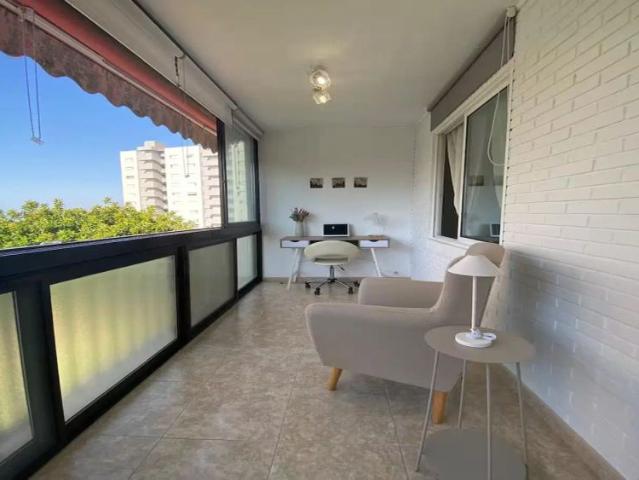 1 bedroom apartment for rent in Alicante, bills included