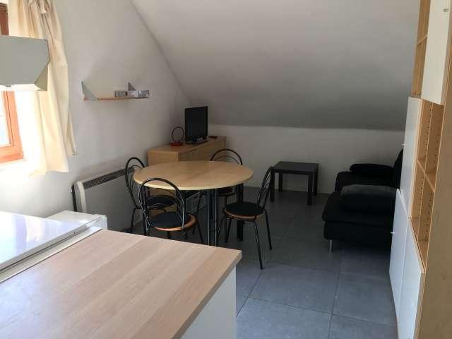 1 bedroom apartment for rent in Anderlecht, Brussels