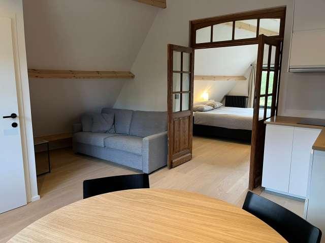 1 bedroom apartment for rent in Brussels