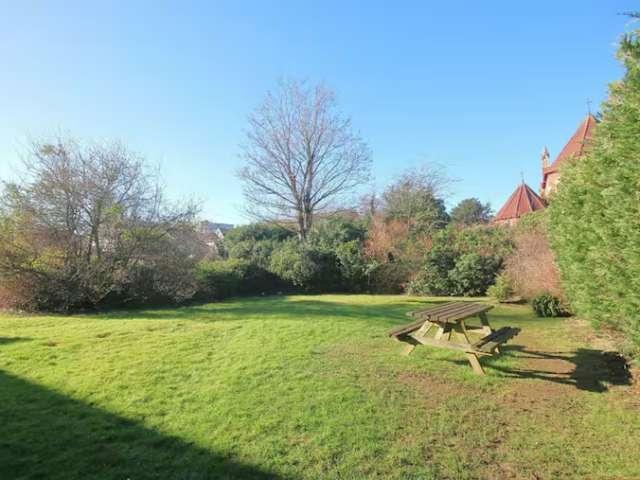 1 bedroom apartment for rent in Central, London