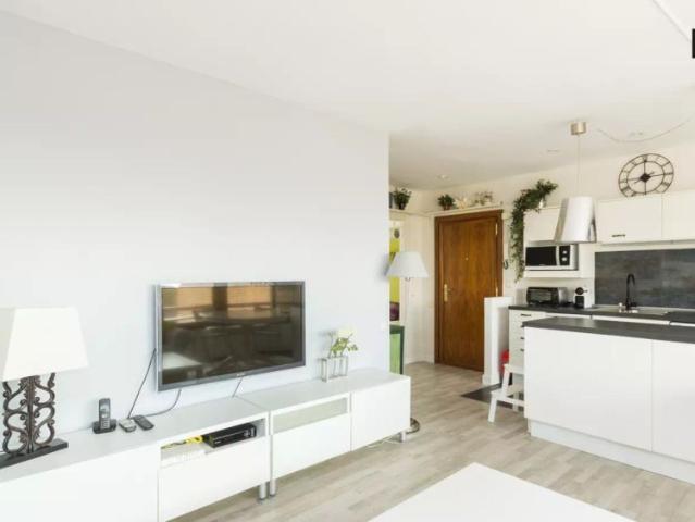 1 bedroom apartment for rent in Colina, some bills included