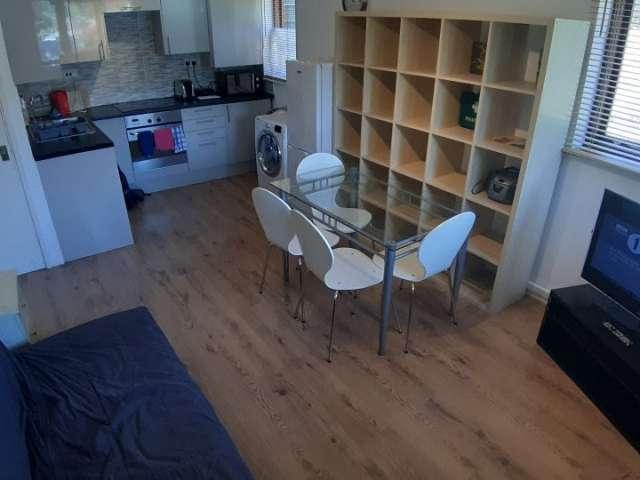 1 bedroom apartment for rent in Docklands, London
