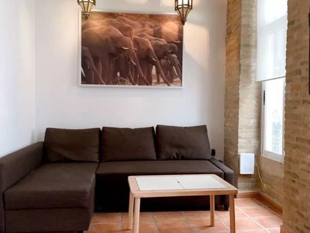 1 bedroom apartment for rent in El Carme, Valencia for professionals