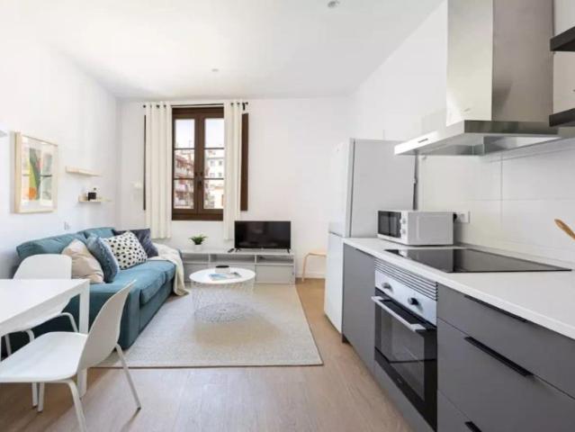 1 bedroom apartment for rent in El Raval