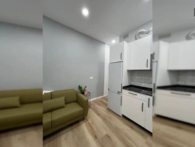 1 bedroom apartment for rent in Embajadores