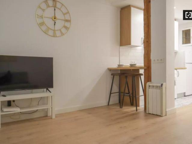 1 bedroom apartment for rent in Embajadores