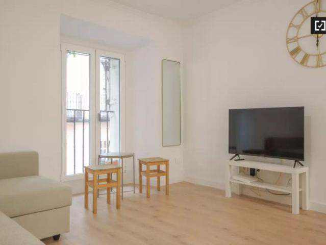 1 bedroom apartment for rent in Embajadores