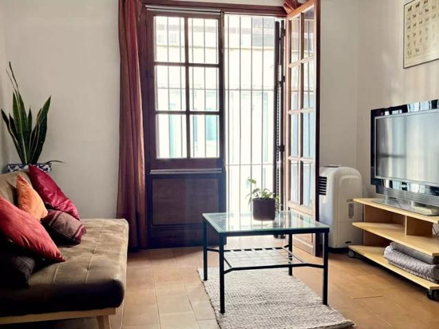1 bedroom apartment for rent in Encarnación Regina, bills included