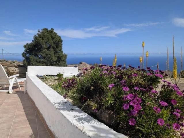 1 bedroom apartment for rent in Fasnia, all bills included