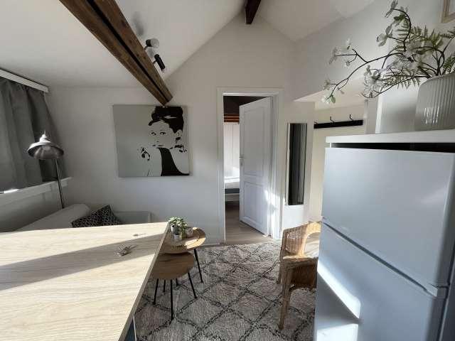 1 bedroom apartment for rent in Flagey Malibran