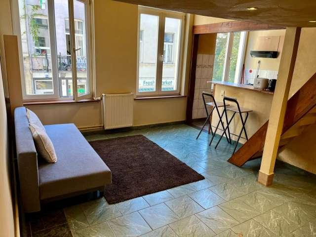 1 bedroom apartment for rent in Flagey Malibran