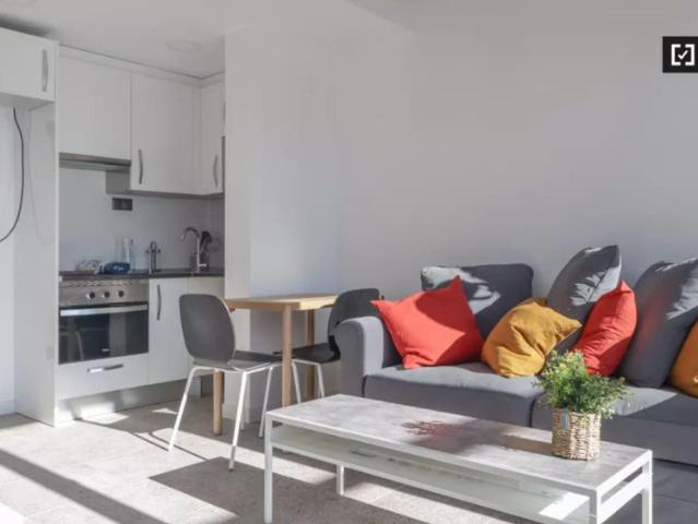 1 bedroom apartment for rent in Guindalera