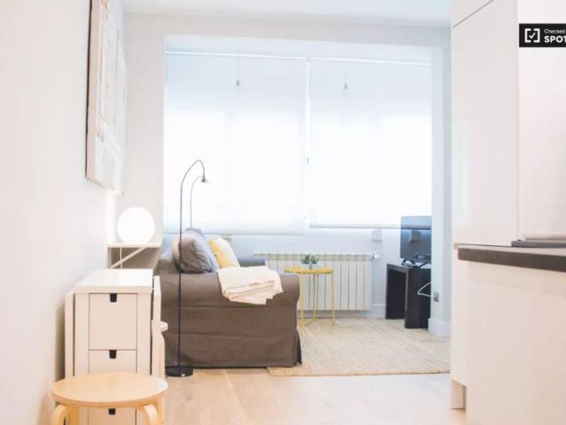 1 bedroom apartment for rent in Guindalera, Madrid