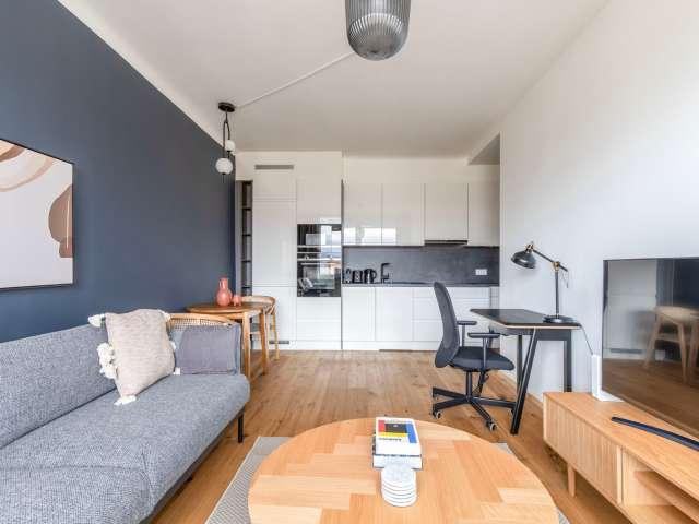 1 bedroom apartment for rent in Innere Stadt, Vienna
