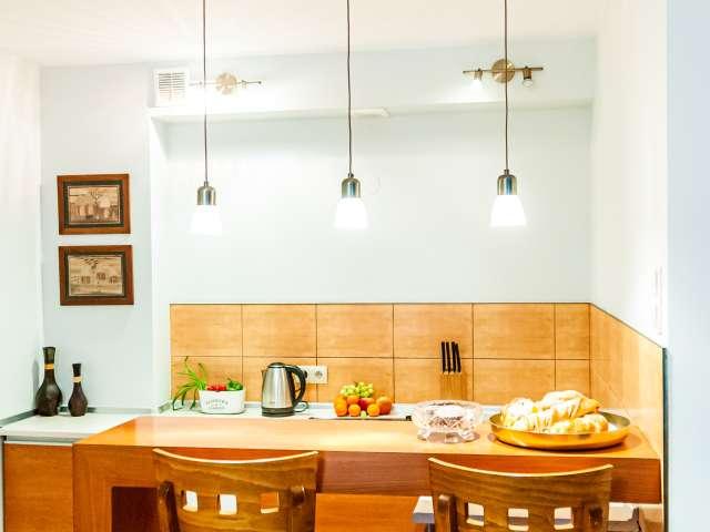1 bedroom apartment for rent in Katedralna, Lodz