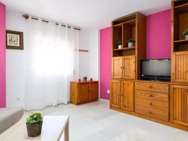 1 bedroom apartment for rent in La Princesa, bills included