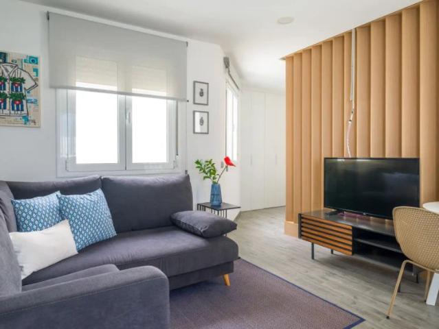 1 bedroom apartment for rent in Las Palmas De Gran Canaria