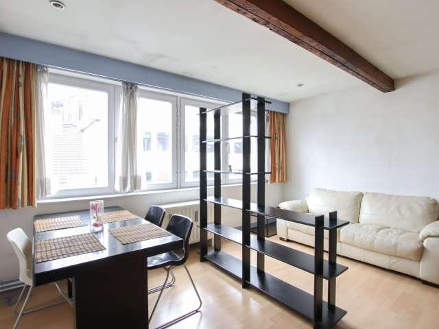 1 bedroom apartment for rent in Leopold Quarter, Brussels