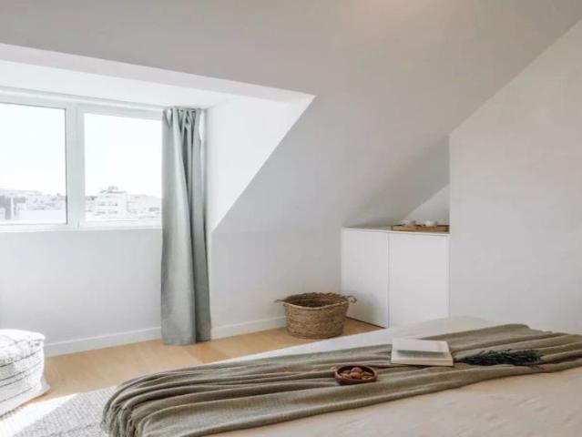1 bedroom apartment for rent in Lisbon, pets allowed