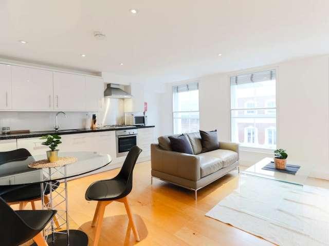 1 bedroom apartment for rent in London
