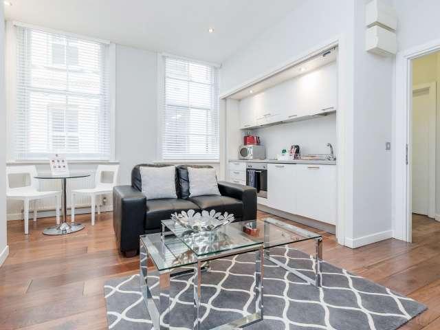 1 bedroom apartment for rent in London
