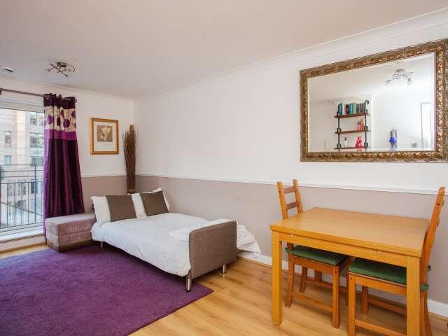 1 bedroom apartment for rent in London